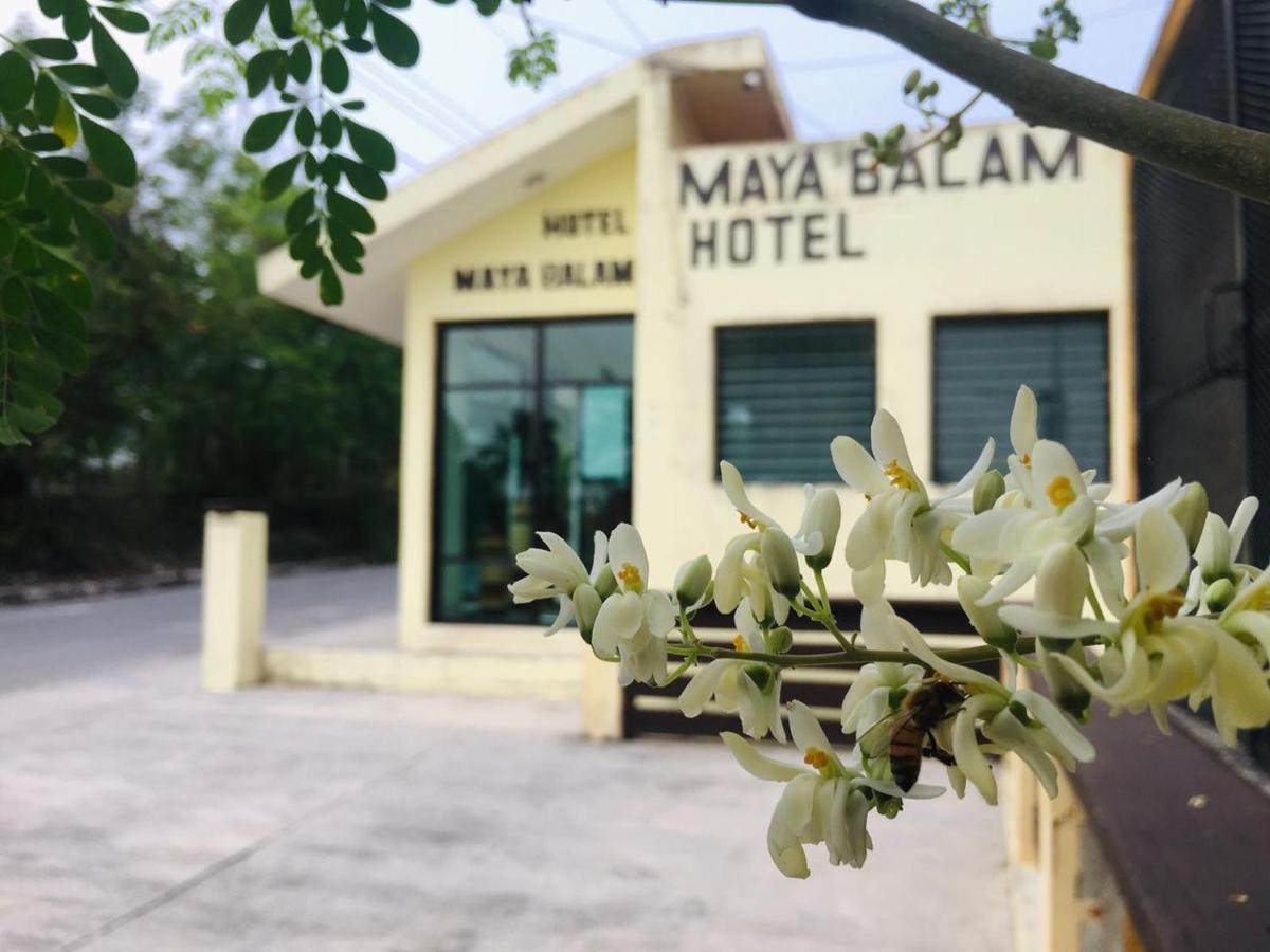 Hotel Maya Balam Xpujil Exteriör bild